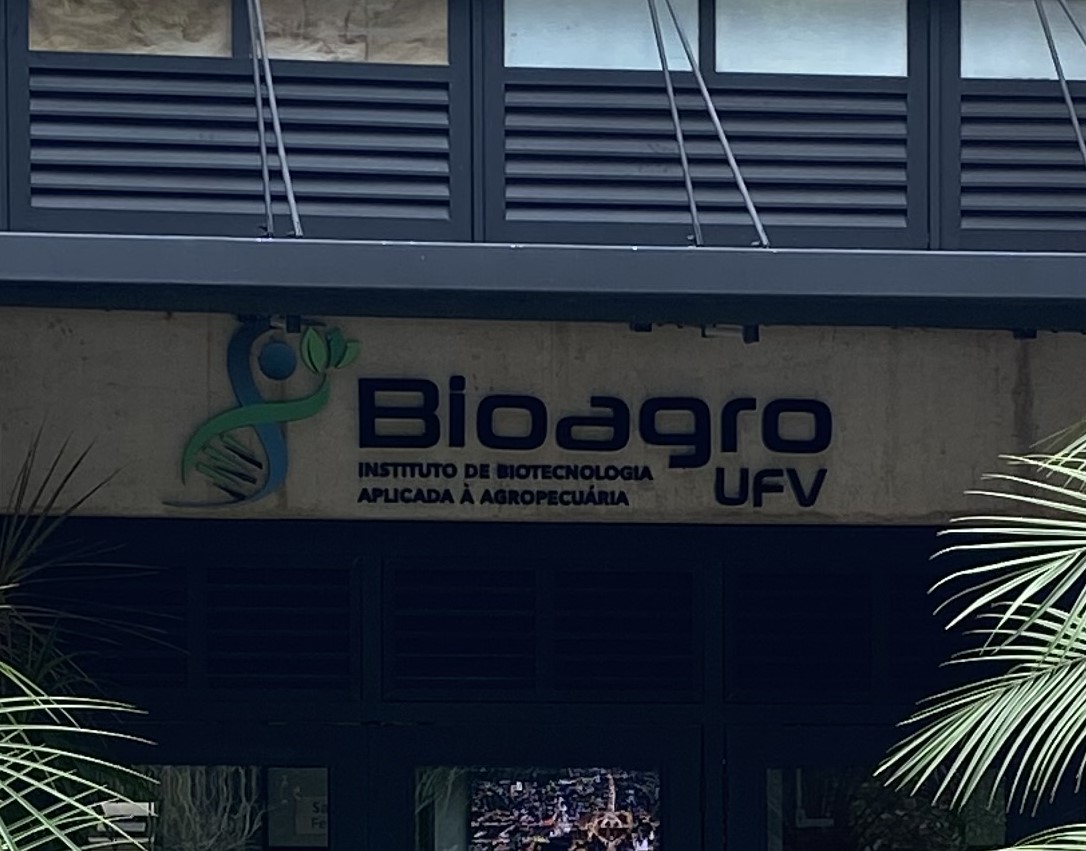 Imagem